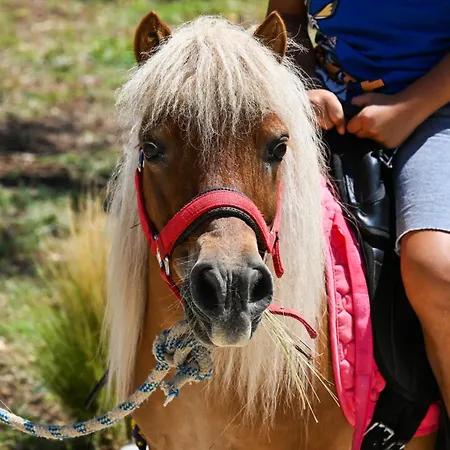 Ninemia Homes 1 By Imagine Apartamento Lefkáda