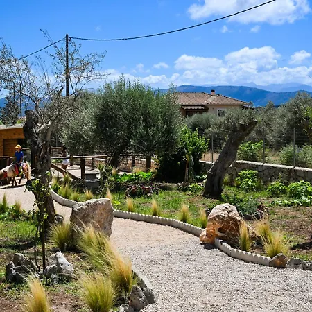 Ninemia Homes 1 By Imagine