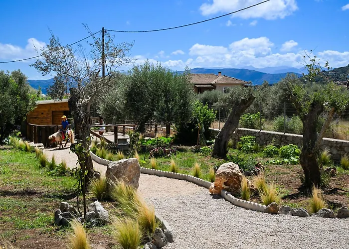 Ninemia Homes 1 By Imagine